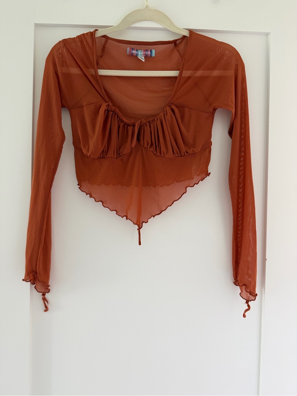 Urban Outfitters Rust Mesh Ruched Bust Long-Sleeve Crop Top NWOT